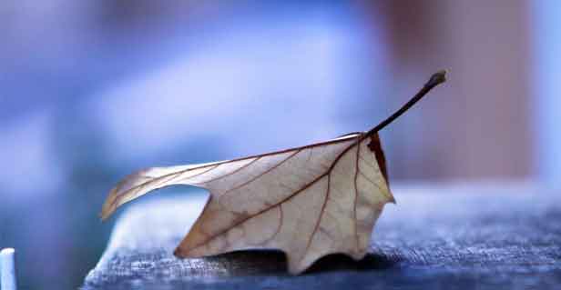 白衬衫白衣服穿久了发黄?这3个家常方法让它重新发亮