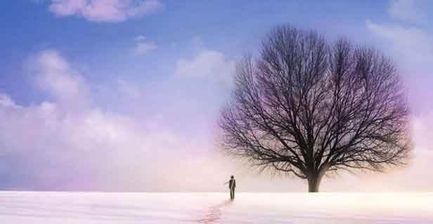 路由器深夜发疯:求求你别再把我塞进电视柜了!